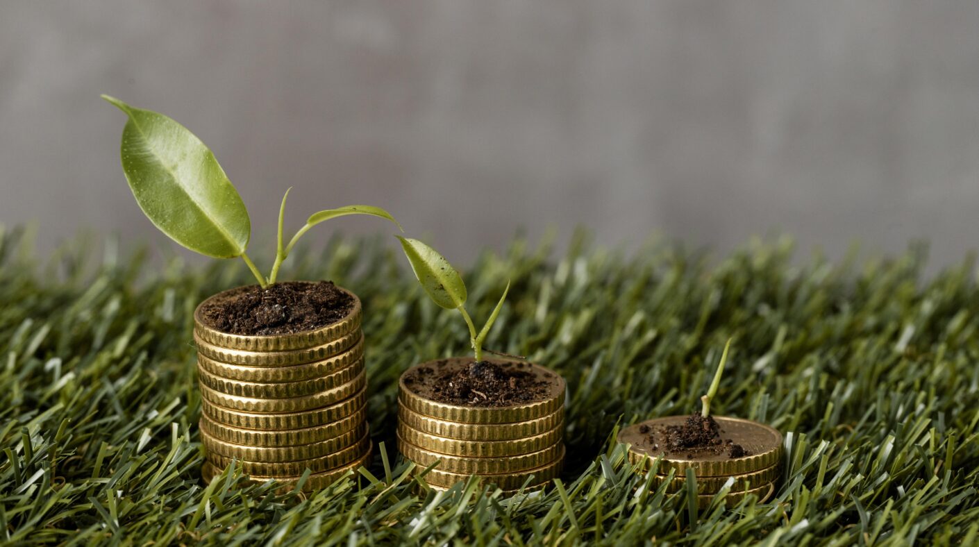 Why Land Is Still the Smartest Investment in Nigeria high angle three stacks coins grass with plants dirt