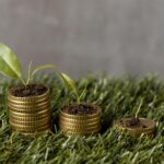 high angle three stacks coins grass with plants dirt