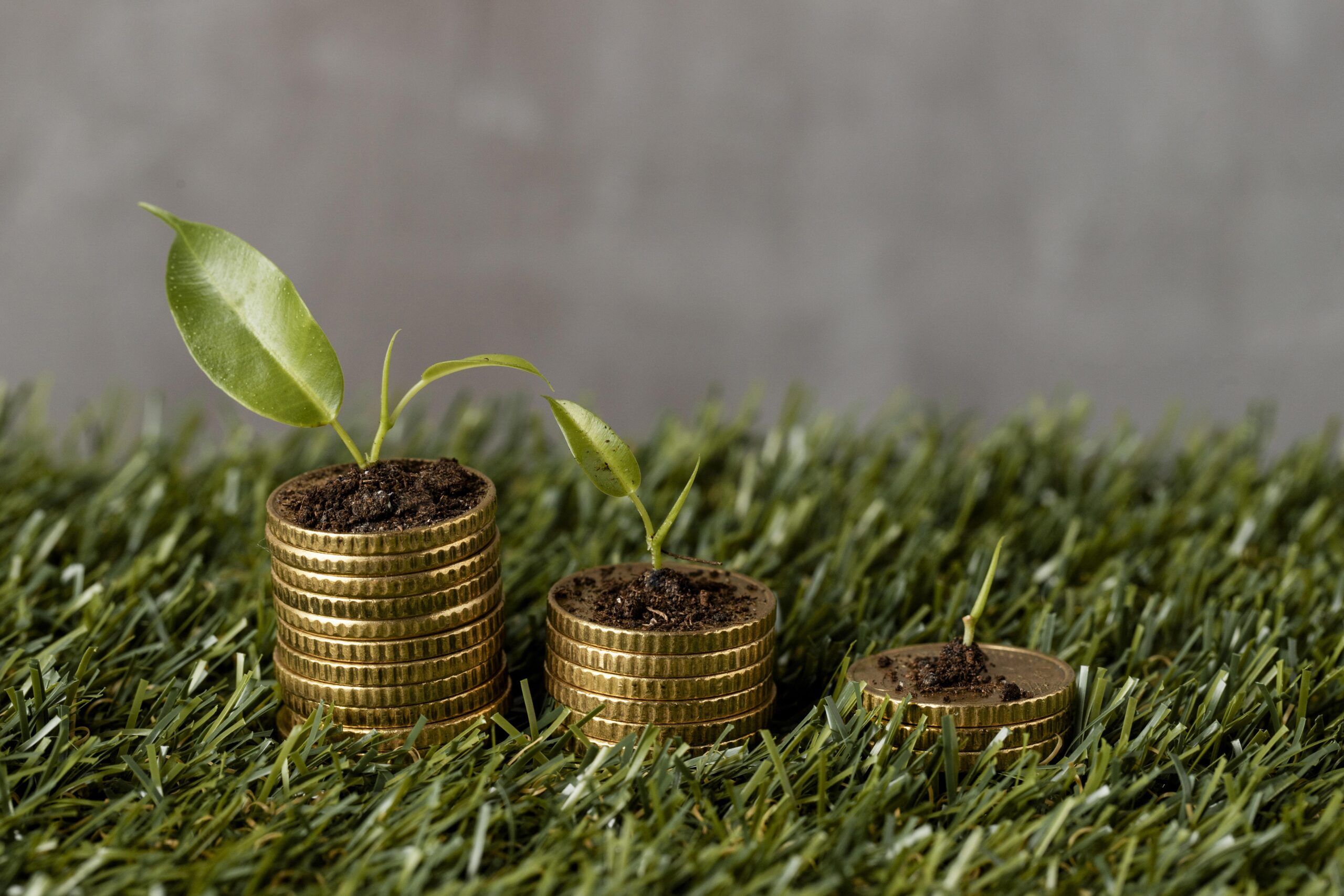 high angle three stacks coins grass with plants dirt