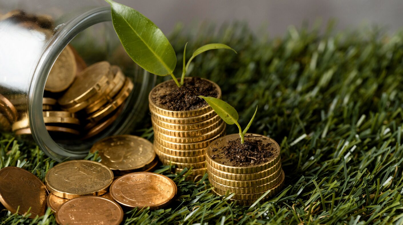 high angle two stacks coins grass with jar plants (1)